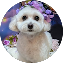 ふじぴー profile picture