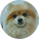 トチ profile picture