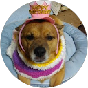 こーた profile picture