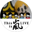 VSガラゴ profile picture