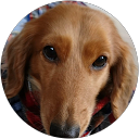 Ramu Ramu profile picture