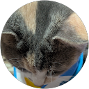 悪代官 profile picture