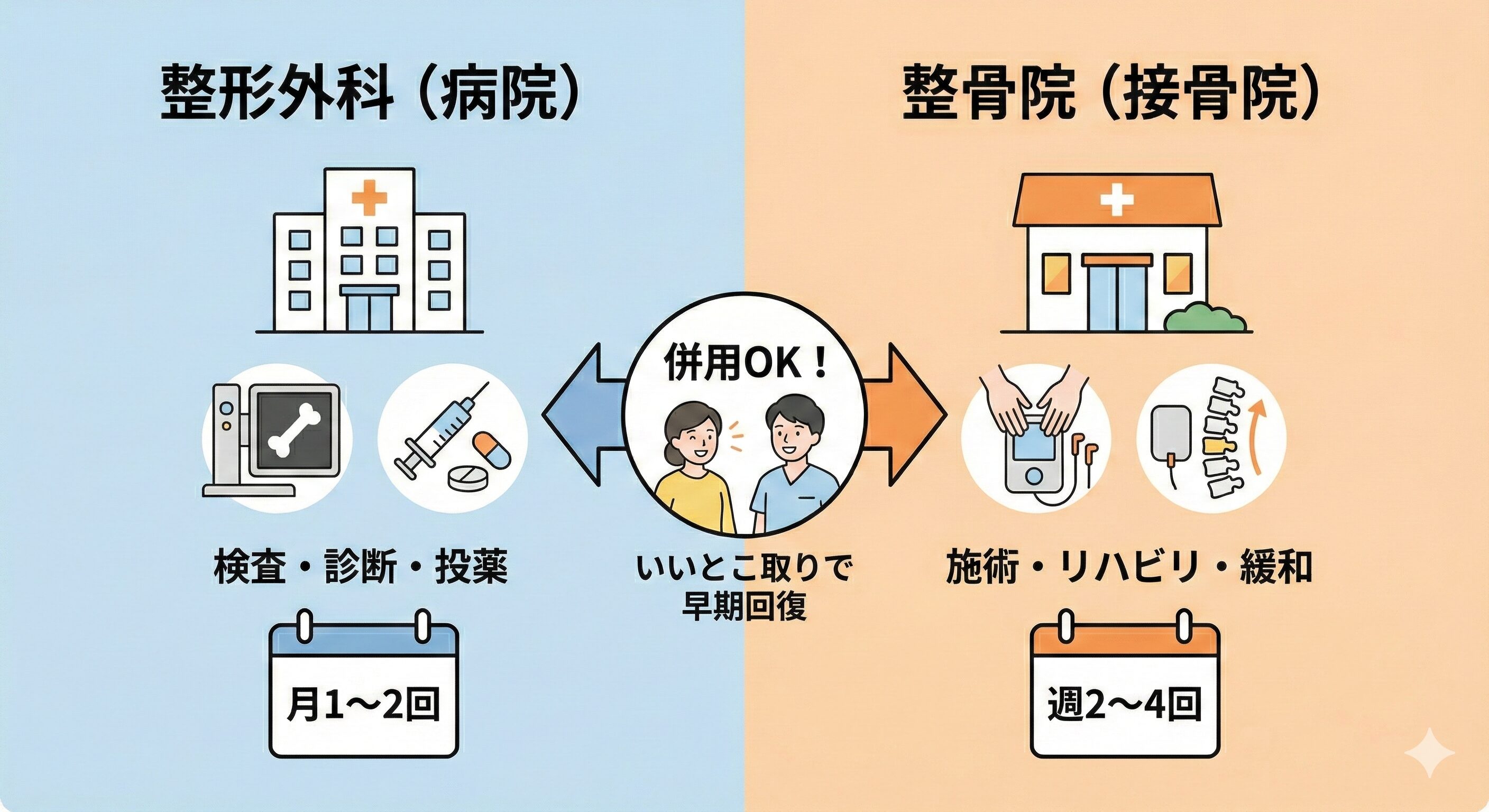 疑問解決：整形外科と整骨院、どっちに行くべき？